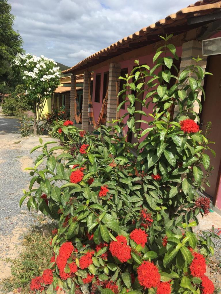 Pousada Villa Bella Palmeiras  Exterior foto